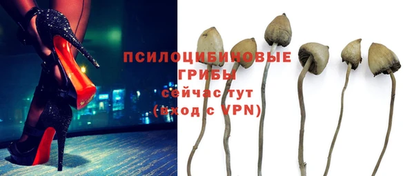 COCAINE Вяземский