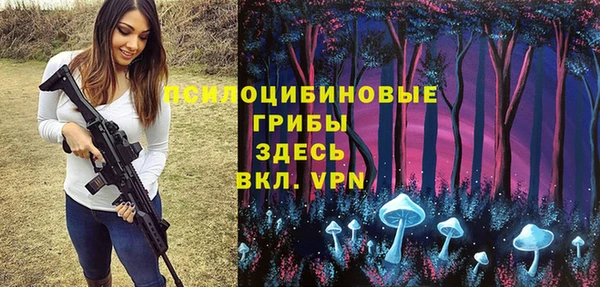 спиды Володарск