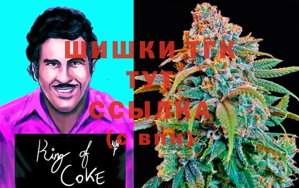 спиды Володарск