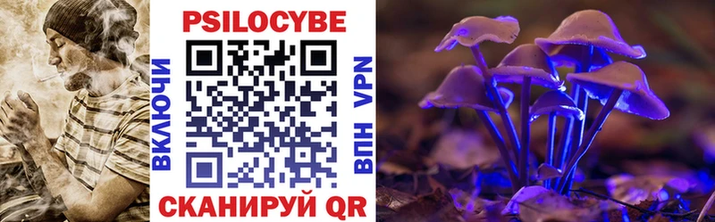 Купить закладки  Спасск-Дальний  Галлюциногенные грибы MAGIC MUSHROOMS 